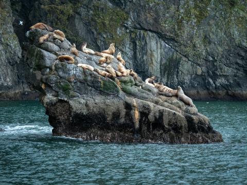 alaska_almennt_2.jpg alaska_almennt_2.jpg
