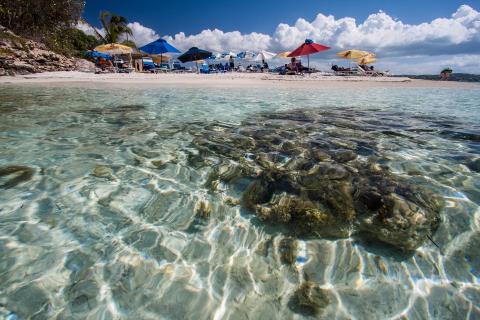 antigua_karibahaf_1.jpg antigua_karibahaf_1.jpg