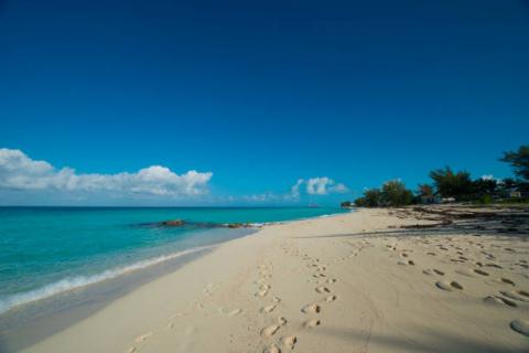 bimini.jpg bimini.jpg