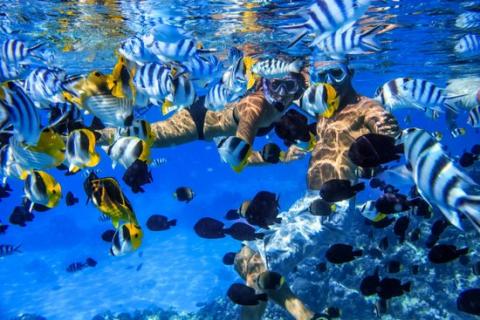 bora-dream-pictures.jpg bora-dream-pictures.jpg
