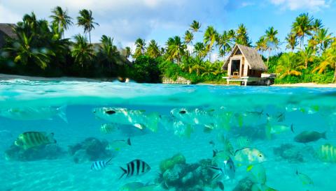 bora_bora.jpg bora_bora.jpg