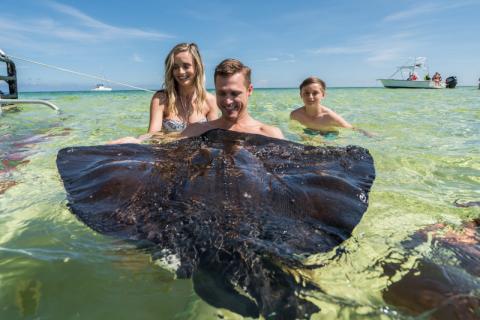 cel_Grand_ Cayman_george_town_stingray_sandbar_3.jpg cel_Grand_ Cayman_george_town_stingray_sandbar_3.jpg