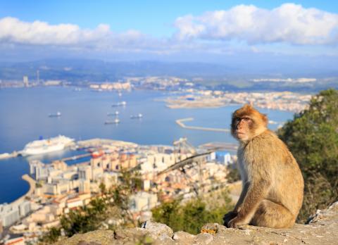 gibraltar_sigling_skemmtisigling_utsyni.jpg gibraltar_sigling_skemmtisigling_utsyni.jpg