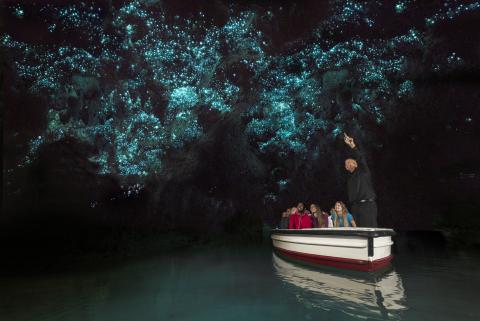 glow_worm_caves_nyja_sjaland.jpg glow_worm_caves_nyja_sjaland.jpg