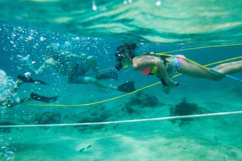 karibahaf_cozumel_scuba.jpg karibahaf_cozumel_scuba.jpg