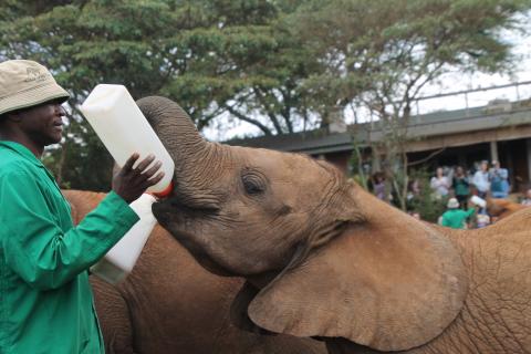 kenya_borgar_almennt_5.jpg kenya_borgar_almennt_5.jpg