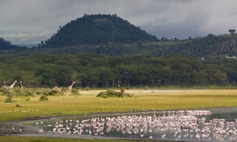 kenya_naivasha_istock.jpg kenya_naivasha_istock.jpg