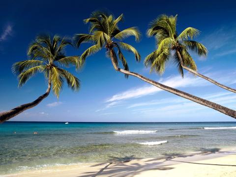 Hawaii_strond_sigling.jpg Hawaii_strond_sigling.jpg