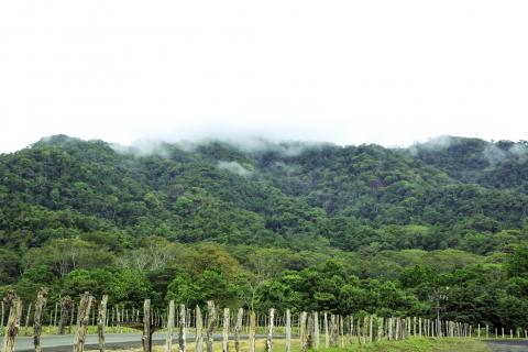 kosta_rika_cloud_forest.jpg kosta_rika_cloud_forest.jpg