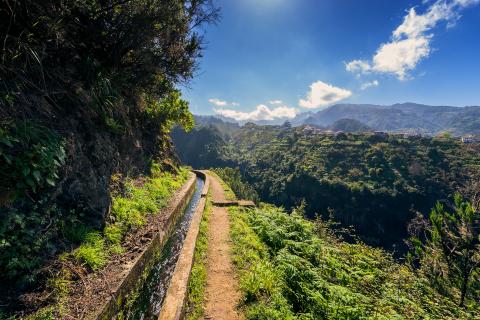 levada_madeira_3.jpg levada_madeira_3.jpg