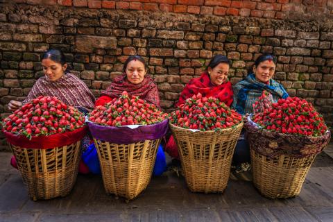 nepal_og_butan_kathmandu.jpg nepal_og_butan_kathmandu.jpg