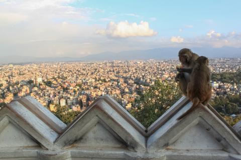 nepal_og_butan_kathmandu_swayambhunath_stupa.jpg nepal_og_butan_kathmandu_swayambhunath_stupa.jpg