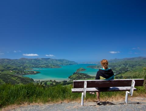 new_zealand_akaroa.jpg new_zealand_akaroa.jpg