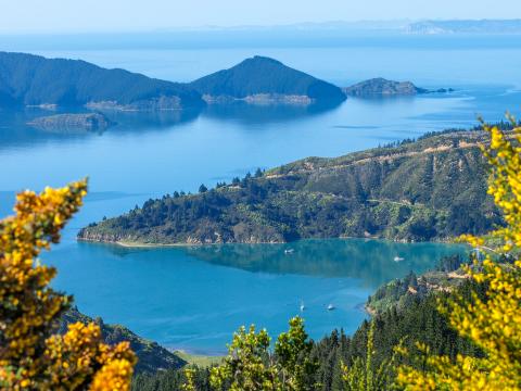 new_zealand_picton.jpg new_zealand_picton.jpg