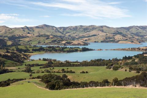 newzealand_christchurch_1.jpg newzealand_christchurch_1.jpg