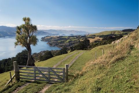 newzealand_dunedin_1.jpg newzealand_dunedin_1.jpg