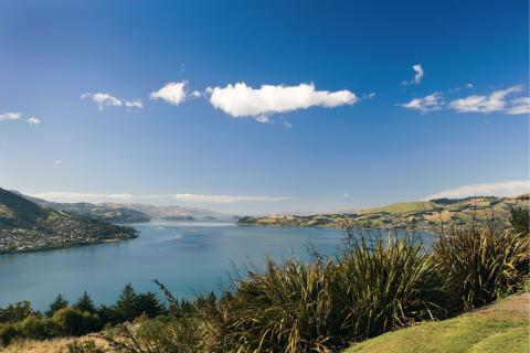newzealand_dunedin_2.jpg newzealand_dunedin_2.jpg