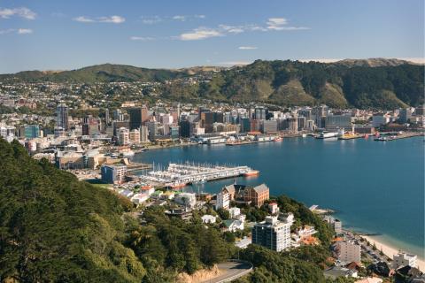 newzealand_wellington_5.jpg newzealand_wellington_5.jpg