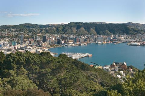 newzealand_wellington_6.jpg newzealand_wellington_6.jpg