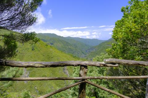 rabacal_madeira_2.jpg rabacal_madeira_2.jpg