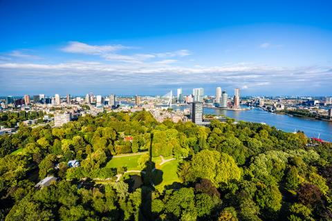 rotterdam_almennt_2.jpg rotterdam_almennt_2.jpg