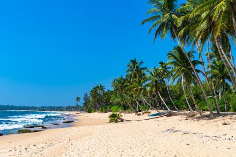 sri_lanka_beach.jpg