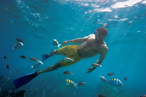 stmaarten_scubadive_.jpg stmaarten_scubadive_.jpg