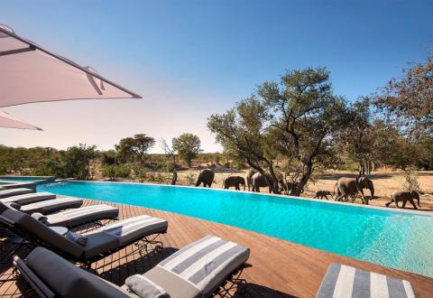 sudur_afrika_ngala_safari_lodge_2.jpg sudur_afrika_ngala_safari_lodge_2.jpg