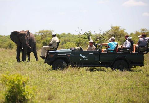 sudur_afrika_ngala_safari_lodge_4.jpg sudur_afrika_ngala_safari_lodge_4.jpg