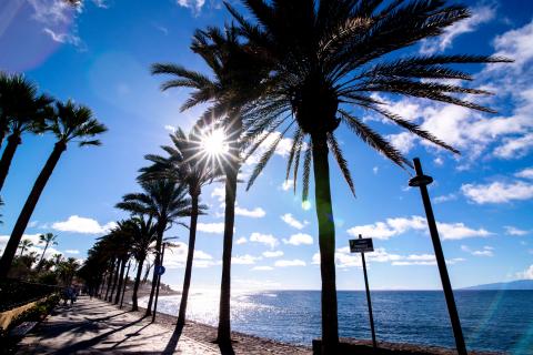 tenerife_almennt_12.jpg tenerife_almennt_12.jpg