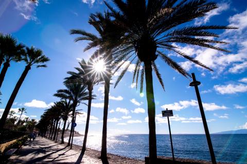 tenerife_almennt_12.jpg tenerife_almennt_12.jpg
