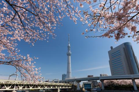 tokyo.jpg tokyo.jpg